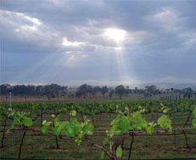 Thunder Ridge Wines - New South Wales Tourism  1