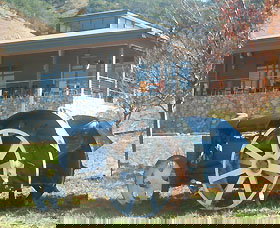 Lake George Winery - New South Wales Tourism  0