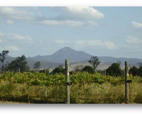 Purga QLD New South Wales Tourism 