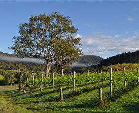 Sarabah Estate Vineyard - New South Wales Tourism  1