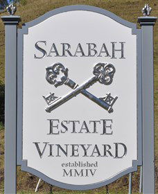 Sarabah Estate Vineyard - New South Wales Tourism  3