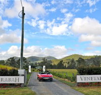 Sarabah Estate Vineyard - New South Wales Tourism 