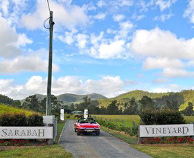 Sarabah Estate Vineyard - New South Wales Tourism  0