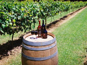 Cedar Creek Estate Vineyard And Winery - New South Wales Tourism  0