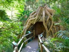 Cedar Creek Estate Vineyard And Winery - New South Wales Tourism  1