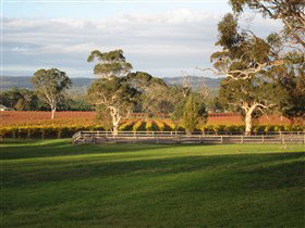 Top Note Vineyard - New South Wales Tourism  0