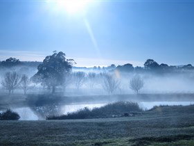 Top Note Vineyard - New South Wales Tourism  3
