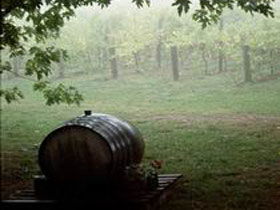 Arranmore Wines - New South Wales Tourism  2