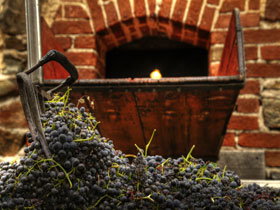 Rockford Wines - New South Wales Tourism  2