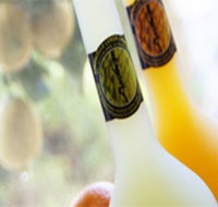 Ambra Limoncello - New South Wales Tourism 