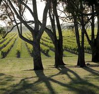 Henry's Drive Vignerons - New South Wales Tourism 