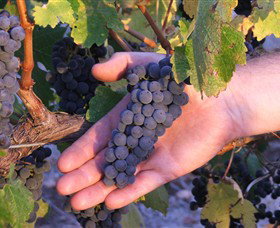 Russells Bridge VIC New South Wales Tourism 