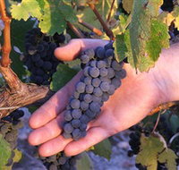 Eagles Rise Wine - New South Wales Tourism 