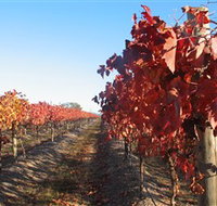 Kooyonga Creek Wines - New South Wales Tourism 