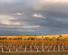 Coombe Yarra Valley - New South Wales Tourism  1