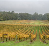 Boat O'Craigo Wines - New South Wales Tourism 