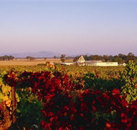 Morris Wines - New South Wales Tourism 