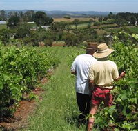 Sir Paz Estate - New South Wales Tourism 