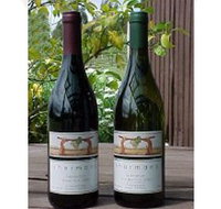 North Esk River Vineyard - New South Wales Tourism 