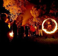 Coal Valley Vineyard - New South Wales Tourism 