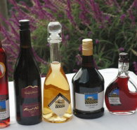 Hartzview Vineyard Heritage Pickers Hut Village - New South Wales Tourism 