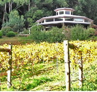 Peveril Vineyard/Beechy Berries - New South Wales Tourism 