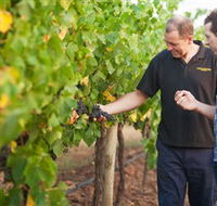 Fratin Brothers Vineyard - New South Wales Tourism 