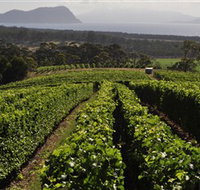 Bream Creek Vineyard - New South Wales Tourism 