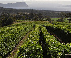 Bream Creek Vineyard - New South Wales Tourism  0