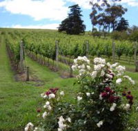 Pembroke Estate Vineyard - New South Wales Tourism 