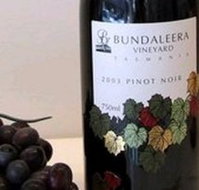 Bundaleera Vineyard - New South Wales Tourism 