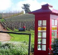 Dalrymple Vineyards - New South Wales Tourism 