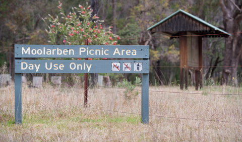 Moolarben Picnic Area - New South Wales Tourism  1