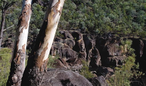Macintyre Falls Lookout - New South Wales Tourism  3