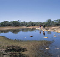 Camel Soak - New South Wales Tourism 