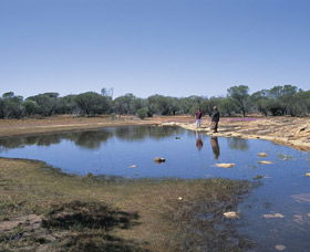 Camel Soak - New South Wales Tourism  0