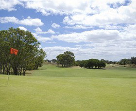 Curlewis Golf Club - New South Wales Tourism  1