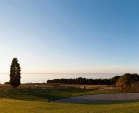 Jack Rabbit Vineyard - New South Wales Tourism  3