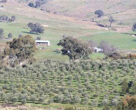 Wymah Organic Olives And Lambs - New South Wales Tourism  0