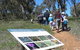 South Gundagai Woodlands Walk - thumb 0