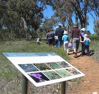 South Gundagai Woodlands Walk - New South Wales Tourism 