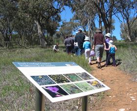 South Gundagai Woodlands Walk - New South Wales Tourism  0