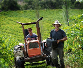 Kellybrook Winery, Kelly Brothers Cider & Riders Brew Co. - New South Wales Tourism  0