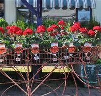 Van Loon's Nursery - New South Wales Tourism 