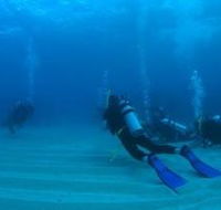Man and Wife Rocks Dive Site
