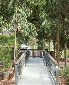 Oyl - New South Wales Tourism  2