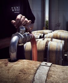 Punt Road Winery - New South Wales Tourism  2