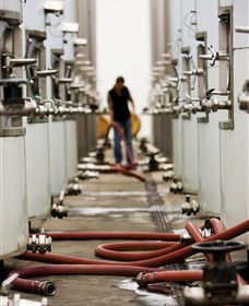 Punt Road Winery - New South Wales Tourism  5
