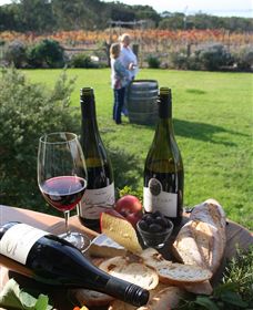 Kiltynane Wines - New South Wales Tourism  1