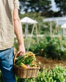 Kiltynane Wines - New South Wales Tourism  6